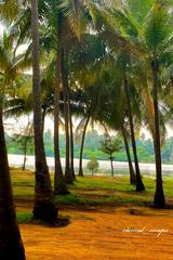 Eden Beach in Pondicherry with clear blue water and sandy shores