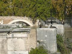 Cormorants at Ponte Rotto in Rome