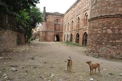 Khirki Masjid monument