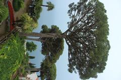 Ravello's Villa Rufolo garden with Mediterranean landscape