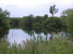 Pool at Kingsbury Water Park in Warwickshire, England