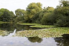 Kingsbury Water Park landscape