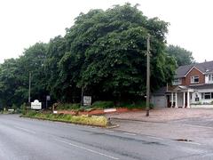 Water Park Lodge building with signs for nearby lodges