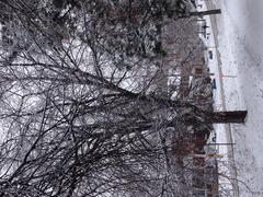 Byron Avenue from Byron Linear Park, Ottawa