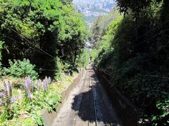 Cerro San Cristobal Funicular in Santiago, Chile by David Berkowitz