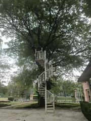 Staircase at Kuala Lumpur Performing Arts Centre