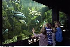 Musée du Léman aquariums