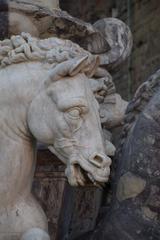 Fountain of Neptune, Florence