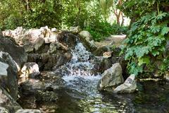 Creek in the middle of a grove at the National Garden of Athens