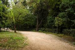 Path in Athens National Gardens