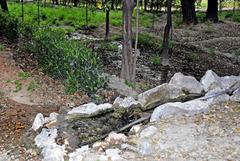 Flood irrigation at National Garden in Athens, Greece