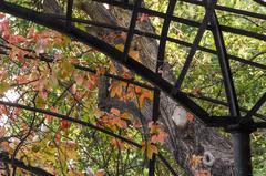 Athens National Gardens with autumn foliage