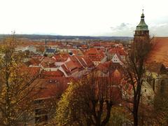 Pirna Sonnenstein view in autumn