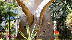 Byculla Zoo entrance