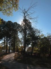 Lake View Park, Islamabad