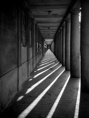 The Long Shadows Monochrome at National Museum in Copenhagen