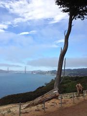 Ecological restoration at Land's End