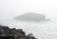 fog at Land's End in San Francisco