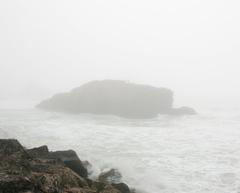 fog at Land's End in San Francisco