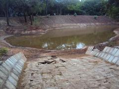 Beautiful pond in Guindy National Park