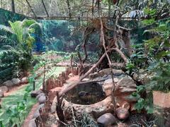 Guindy Snake Park entrance with visitors and trees