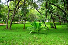 Greenery near pathway at Guindy Children's Park