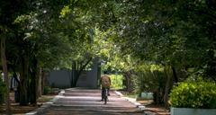 Children's Park at Guindy National Park in Chennai