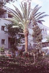 Historic palm garden in Antalya on April 17, 1973