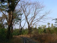 Sanjay Gandhi National Park scenic view