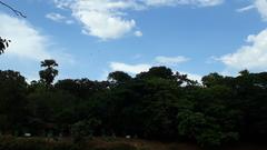 Sanjay Gandhi National Park with beautiful sky, mountains, and lake