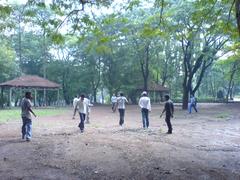 Cricketers playing at National Park on a sunny day