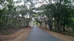 Cycling through Borivali National Park