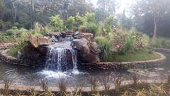 Mini waterfall inside a national park