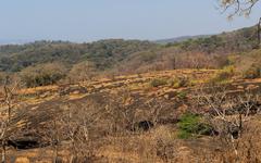 View of Sanjay Gandhi National Park nearby Kanheri Caves in Mumbai, India