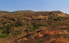 View of Sanjay Gandhi National Park near Kanheri Caves in Mumbai, India