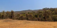 Sanjay Gandhi National Park in Mumbai