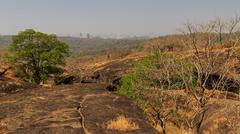 Sanjay Gandhi National Park near Kanheri Caves in Mumbai