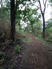 Inside view of Nagle trails