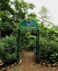 BNHS Butterfly Garden in Goregaon, Mumbai