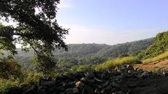 Beautiful Evening at Sanjay Gandhi National Park, Mumbai