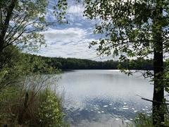 Scenic view of Untersee in Brühl with clear water and surrounding greenery