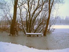 A bench by the Untersee lake in Ville Seenkette, Brühl