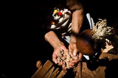 Cultivation of peanuts, corn, beans, and cassava in Ita'y indigenous village