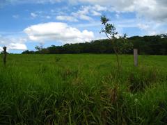 Farm in Montes Claros, Minas Gerais, Brazil