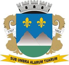 Coat of Arms of Montes Claros