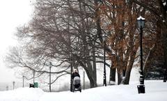 People walking in Kolomenskoye Museum-Reserve