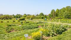 Apothecary garden in southern district of Moscow