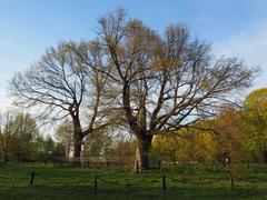 Kolomenskoye Museum-Reserve in spring