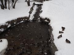 Kolomenskoye Museum-Reserve in winter