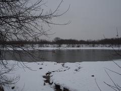 Kolomenskoye Museum-Reserve in winter